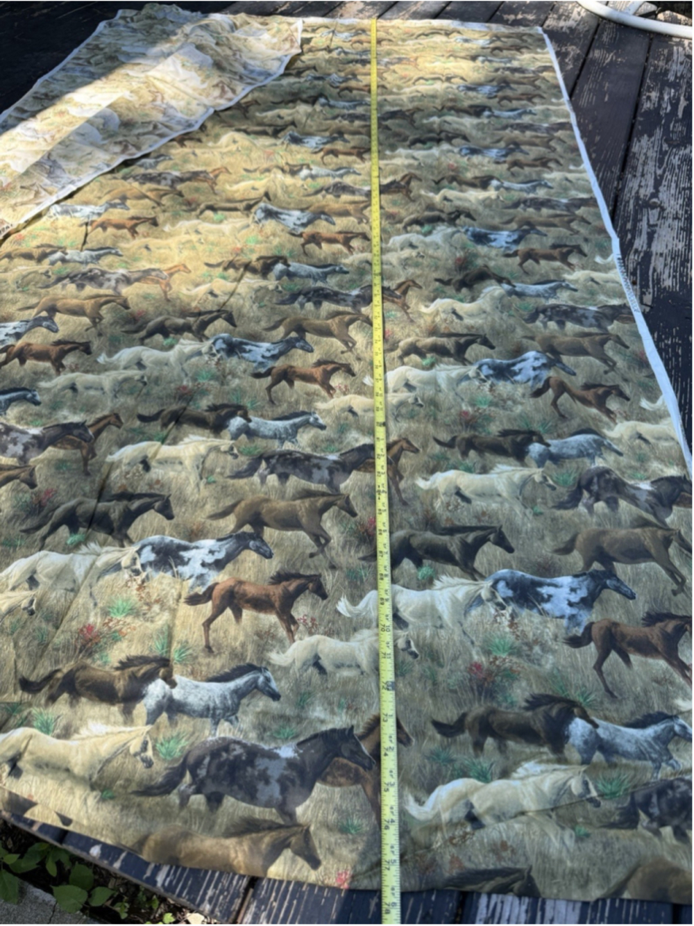 James Hautman Running Horses Fabric 4.16 Yds 44” Wide Cranston Western Mustang - Picture 2 of 9